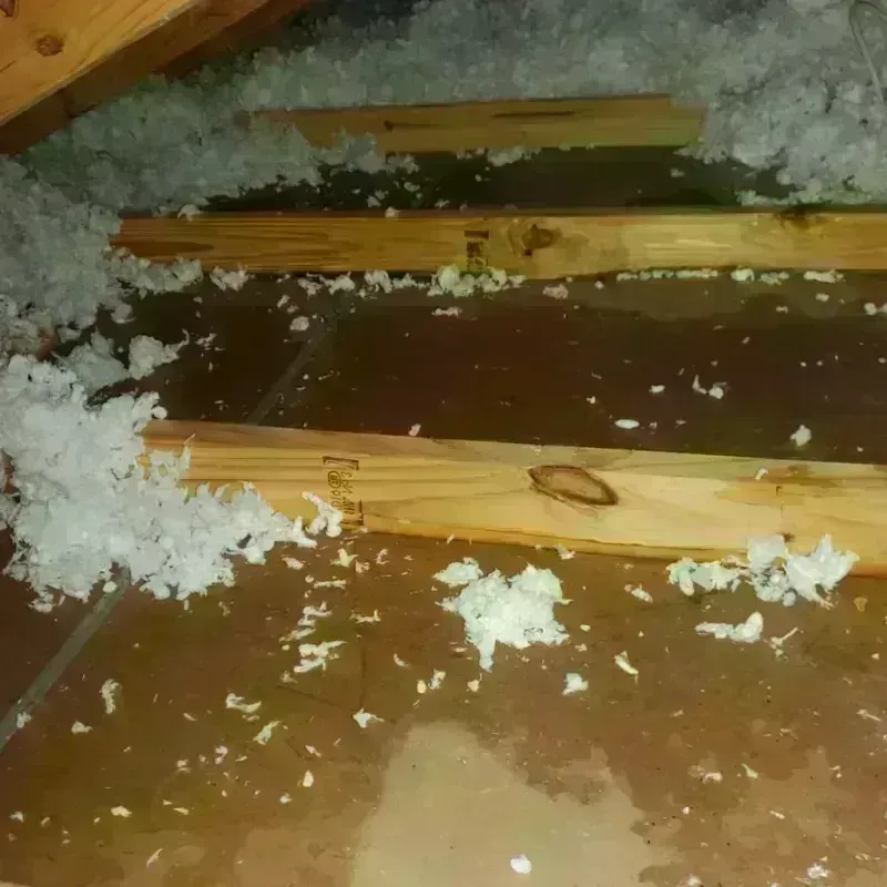 Attic Water Damage in Helper, UT