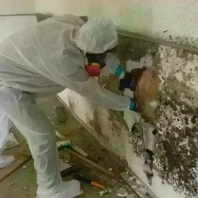 Mold Remediation and Removal in Helper, UT