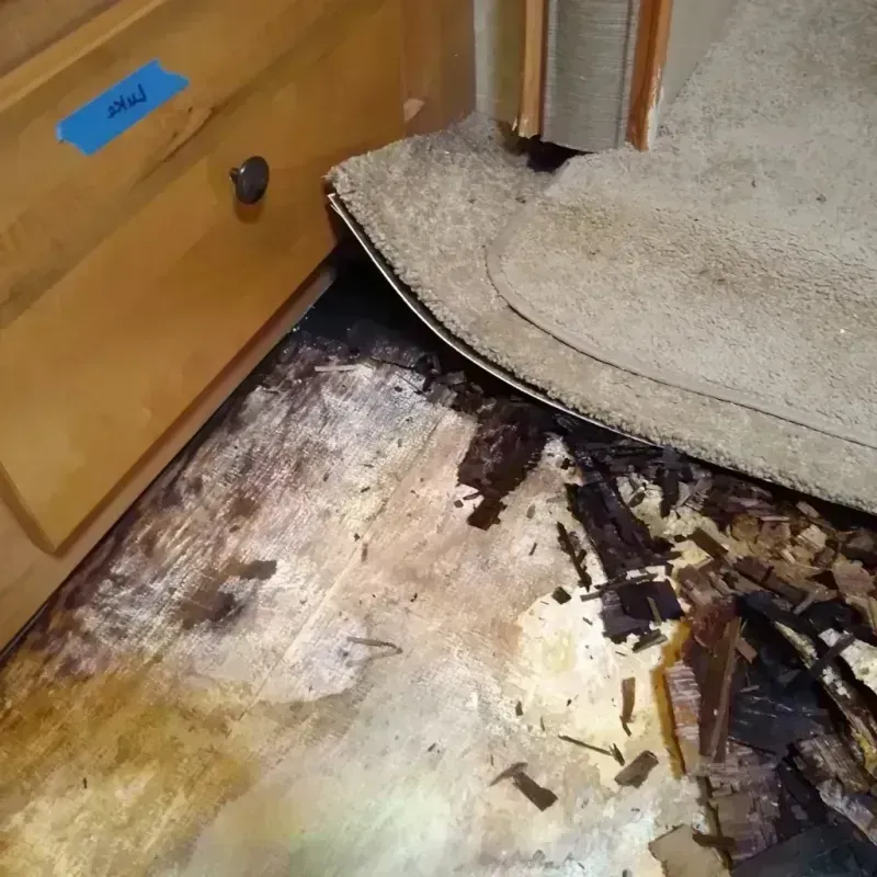 Wood Floor Water Damage in Helper, UT